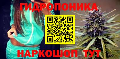 a pvp Обь
