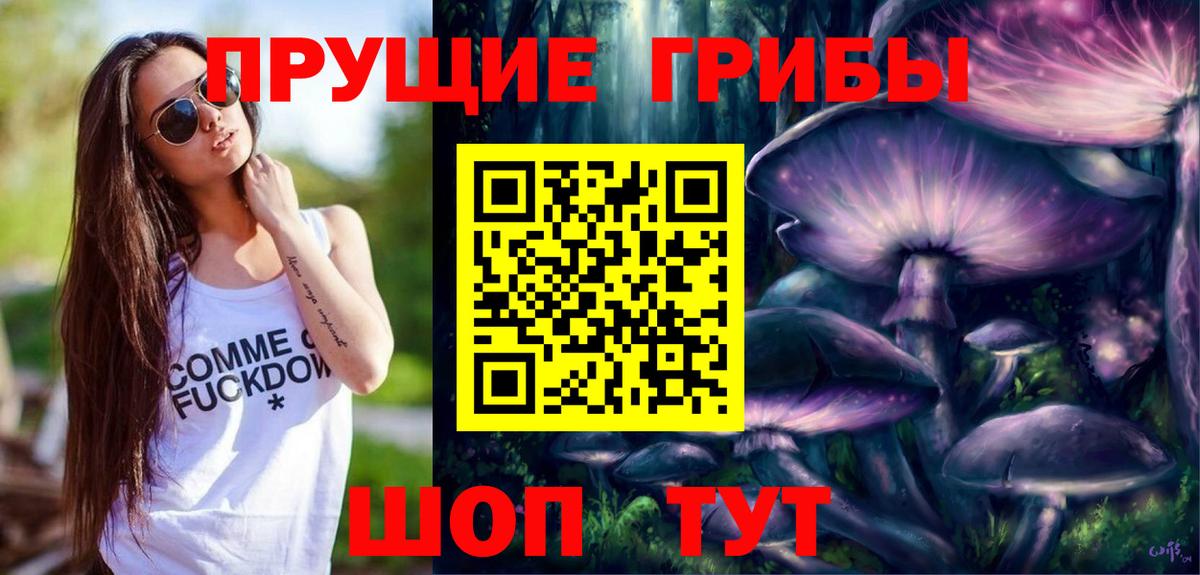 Галлюциногенные грибы Psilocybine cubensis  Вход с VPN  Павловский Посад 