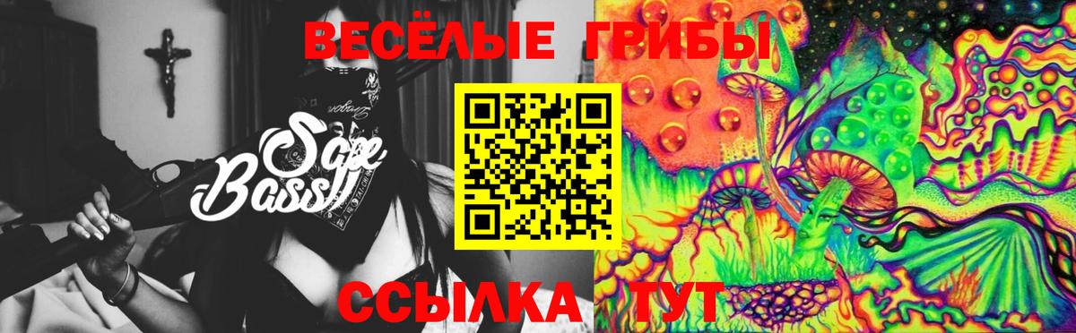 Галлюциногенные грибы прущие грибы Павловский Посад