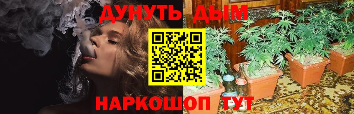 Бошки марихуана ГИДРОПОН Павловский Посад